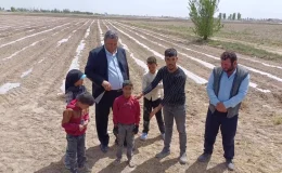 Tarım İşçisi Çocuklarına Sağlıklı Yaşam İmkanı Sağlanmalı