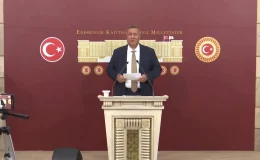 CHP Milletvekili Gürer: Yem fiyatlarındaki artış ahırları boşaltıyor