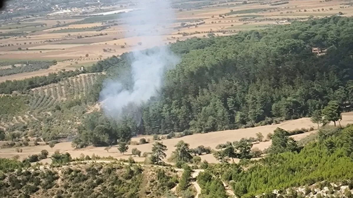 Muğla Yatağan’da orman yangını