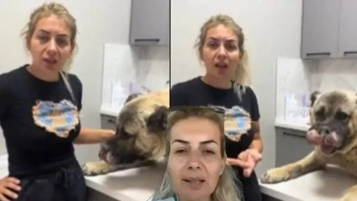 Buket Özgünlü’nün köpekleri getirdiği araç için bilirkişi raporu istendi