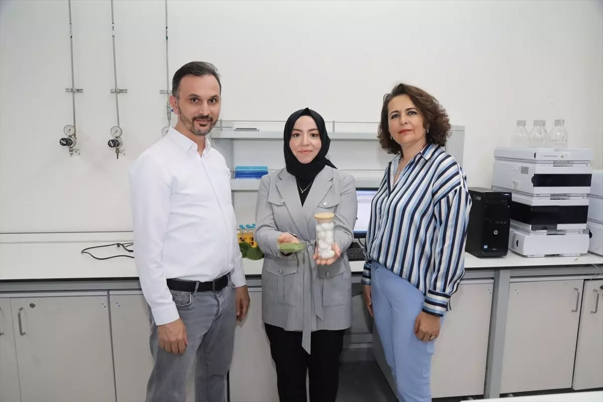 Diyabetlilere Özel Meyve Kaplaması Geliştirildi